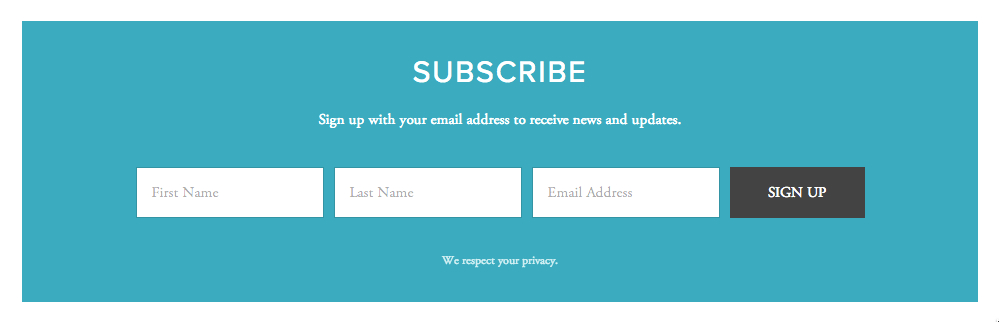 Example Subscribe Newsletter Form
