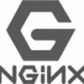 Discover high-speed optimization with NGINX